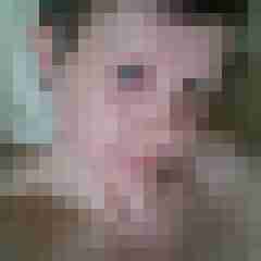 Mistbiene