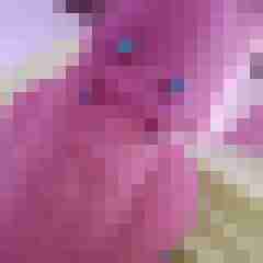 knallschote84