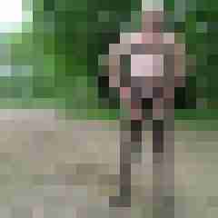 franzie01