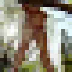 Ingo55