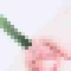 signothetimes