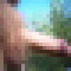 Heraldo_Rey