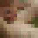 nord-fick