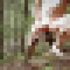 doline