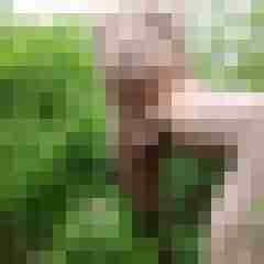 exib1