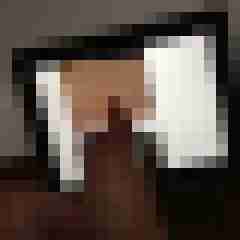 pichunters
