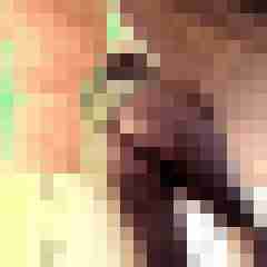 hotlilly