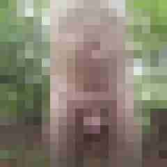 exib1