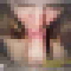 Toddel