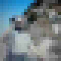 unter_dir