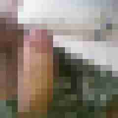 MrCock86