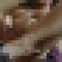 franky0204