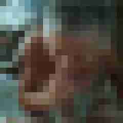 gerrycn