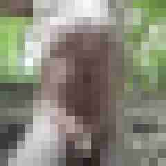 exib1