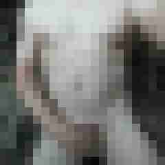 exib1