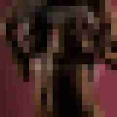 Phorus