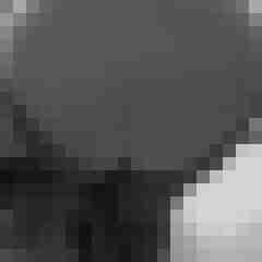 arschstute