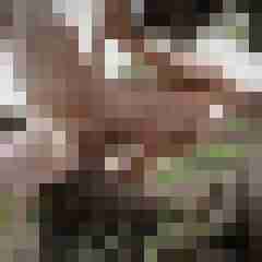 doline