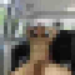 fireadler