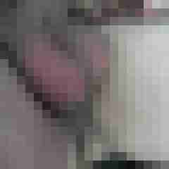 fireadler