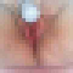 Toddel
