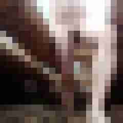 exib1