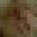 sanne1972