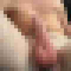 dave3385
