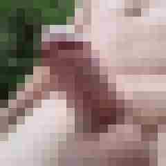 exib1