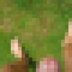 Mrnrw1967