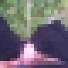 Spritzer32