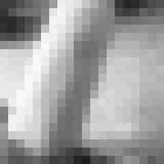 LustTick66