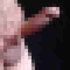 9 Bilder von wittler