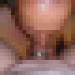 robertbilive