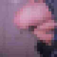 Lurchi01
