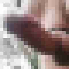 Bityp2000