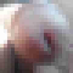 fireadler
