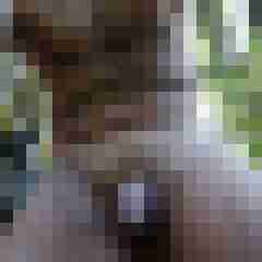 Woodman8