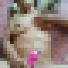 gerrycn