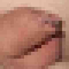 funratte