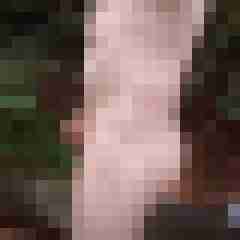 exib1