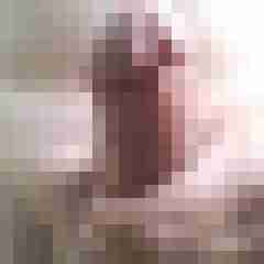exib1