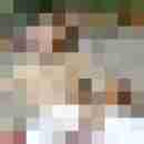 tvlochbln