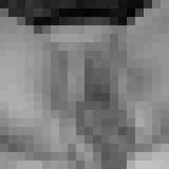 pichunters
