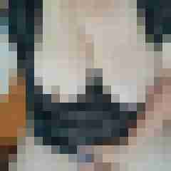 Mistbiene