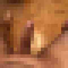 Cgngeiler6