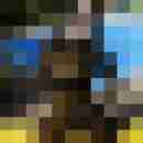 Phorus