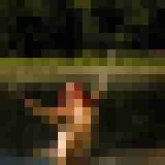 Phorus