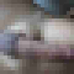 Bruni31