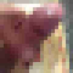 ferhoener